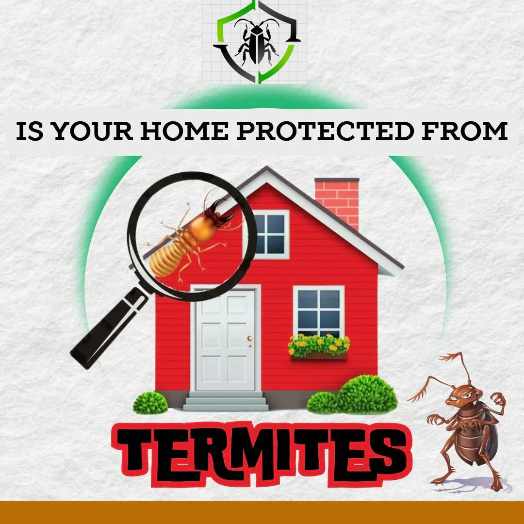 MITX™ TERMITE KILLER PREMIUM SPRAY – BUY 1 GET 2 FREE (50ML X 3)