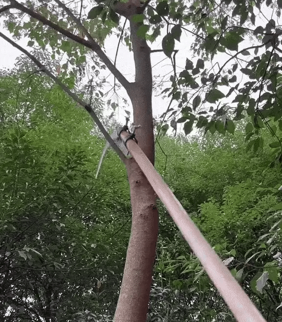Multifunctional Portable Grass Sickle Cutter Head